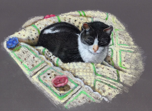 Колір олівця малювання кіт на Афганістану Ліцензійні Стокові Фото