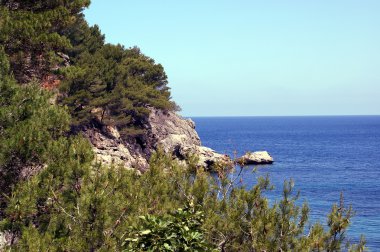 Palma de mallorca - Islas baleares - İspanya