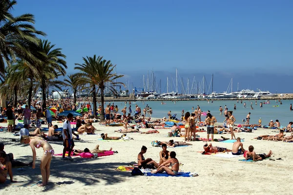 Palma de Mallorca - Islas Baleares - Spain — Stock Photo, Image