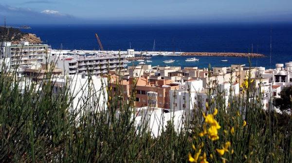 Views of the Island of Ibiza, Islas Bale — Stock Photo, Image