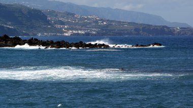 Tenerife, Kanarya Adaları, İspanya