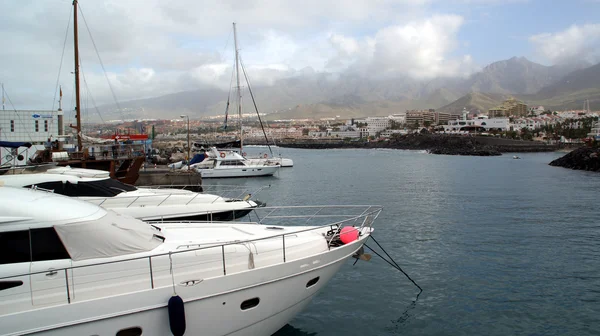 stock image Tenerife, Canary Islands, Spain