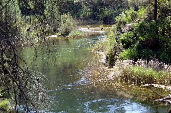 Cabriel Wąwozy rzeki, park naturalny w Hiszpanii — Zdjęcie stockowe
