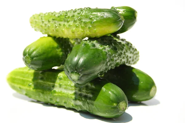 Cucumbers heap — Stock Photo, Image