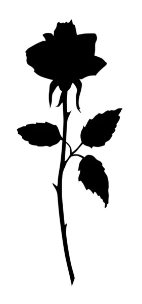 Mooi rose zwart silhouet — Stockvector