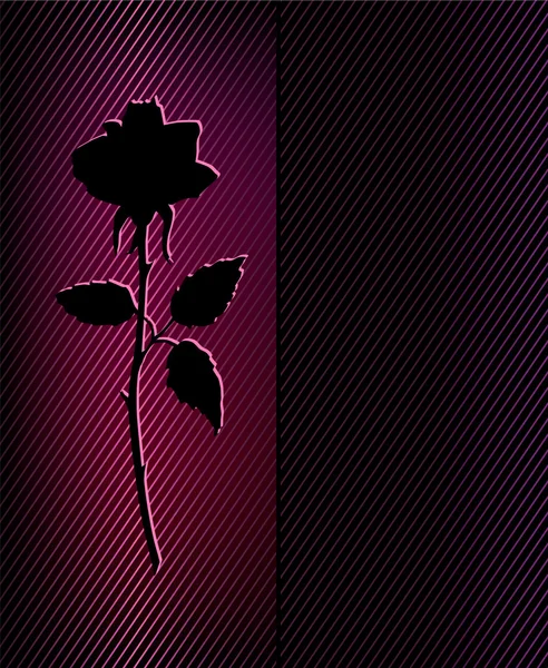 Beautiful black rose — Stock Vector