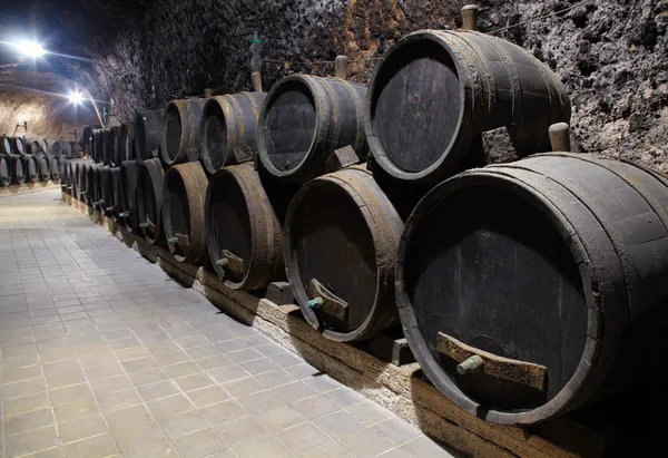 Beczki z winem w piwnicy — Zdjęcie stockowe
