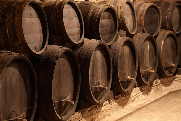 Wine casks in winery cellar — Stock Photo, Image