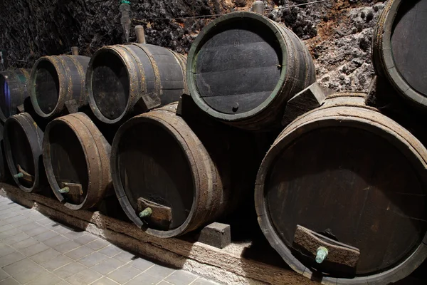 Old wine wood in winery underground — Stock Photo, Image