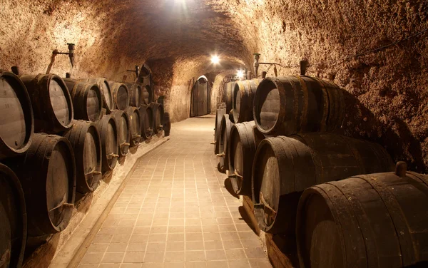 Korridor im Weingut Stockbild