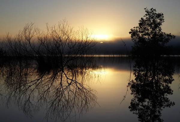 Rano nad jeziorem — Zdjęcie stockowe