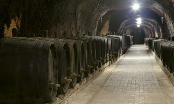 Winery underground — Stock Photo, Image