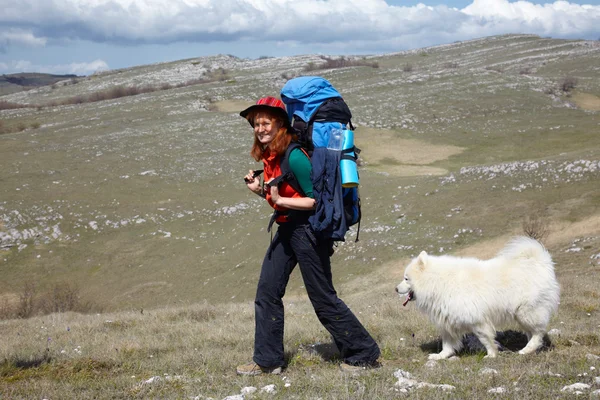 Mihotavé záblesky dívka s samojed pes — Stock fotografie
