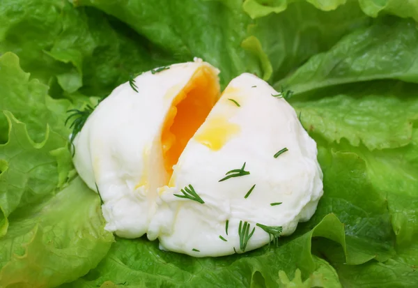 Huevo escalfado sobre lechuga —  Fotos de Stock