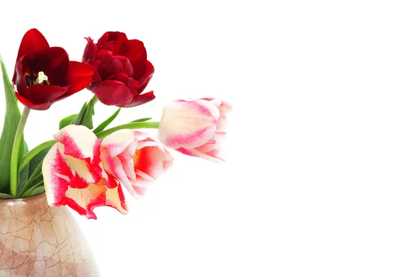 Tulpenstrauß in einer Vase — Stockfoto