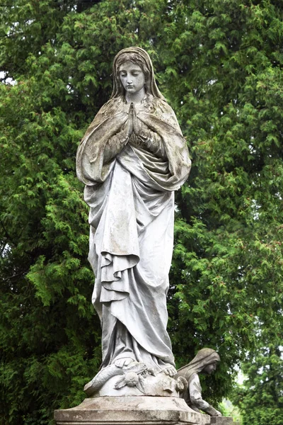 Estátua da Virgem Maria no jardim — Fotografia de Stock