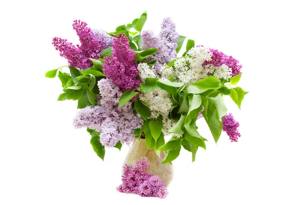 Bouquet colorato di lilla — Foto Stock