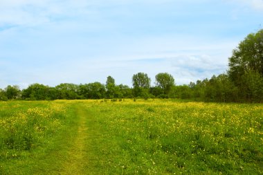 Trail on the spring meadow clipart