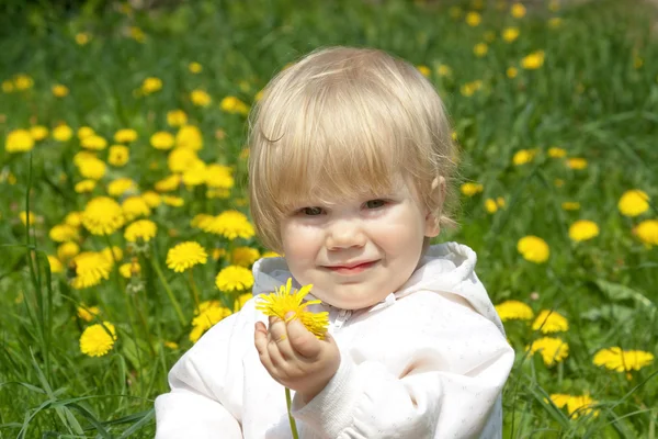 Маленькая девочка с одуванчиками — стоковое фото