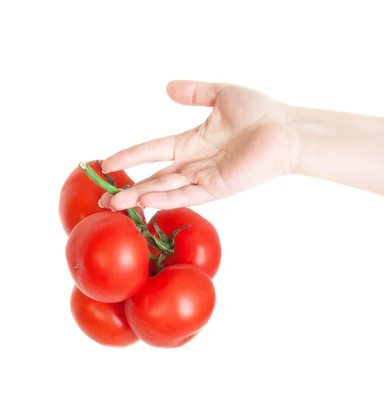 新鮮なトマトを手に ストック画像