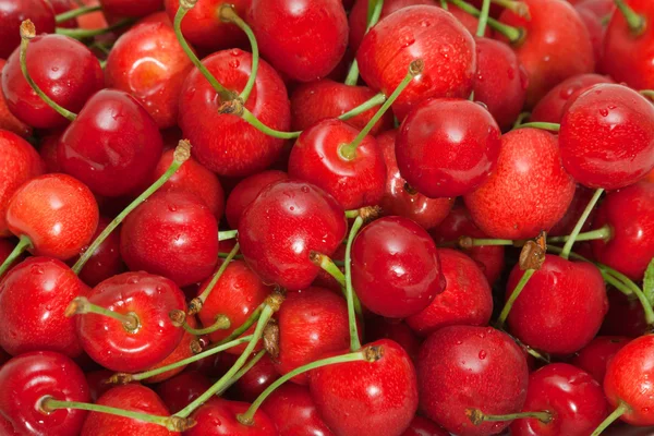 Sweet cherry pozadí — Stock fotografie