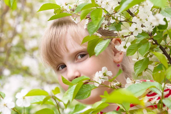 Girl - Spring. Portrait of a teenage girl in a flowering cherry — Stock Photo, Image