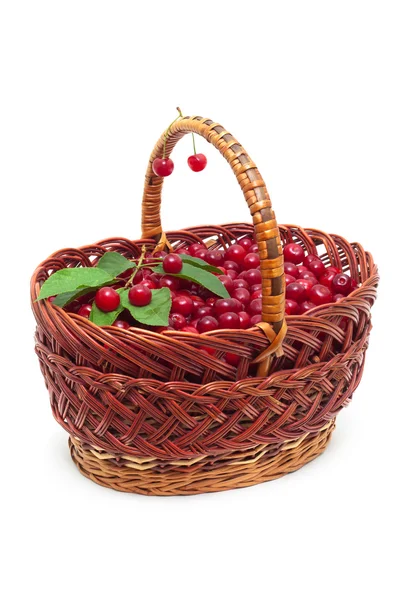 Basket with ripe cherries isolated on white — Stock Photo, Image