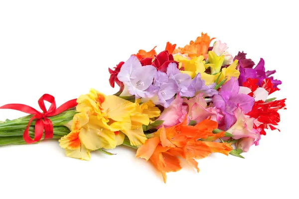 Bouquet of colored gladioli isolated on white — Stock Photo, Image