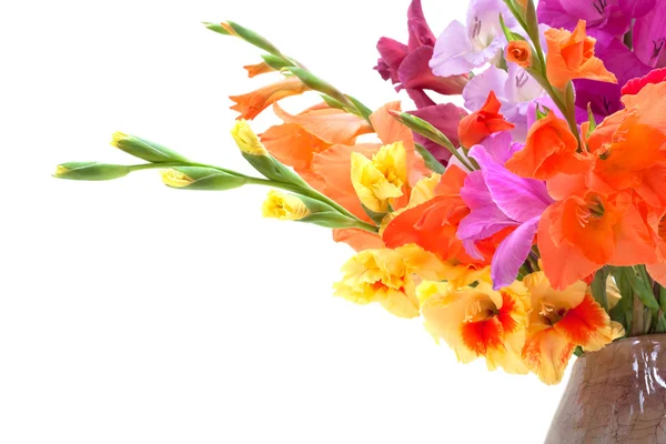 Buquê de gladioli coloridos isolados em branco — Fotografia de Stock