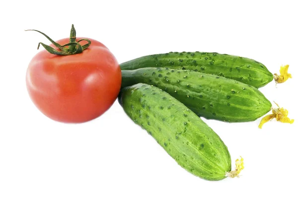 Tomato and cucumber — Stock Photo, Image