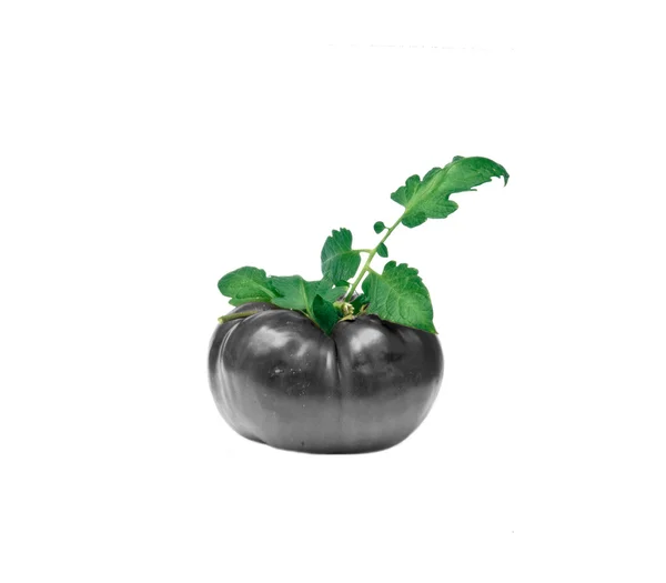 Pomodori maturi grandi con un ramo verde — Foto Stock