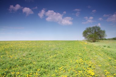 Spring field clipart