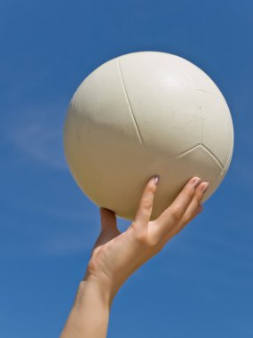 Voleybol