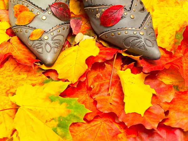 Sonbahar yaprakları ve ayakkabılar — Stok fotoğraf