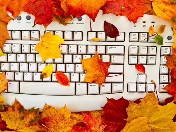 Осенняя клавиатура — стоковое фото
