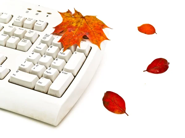 Autumn keyboard — Stock Photo, Image