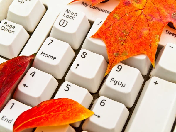 Autumn keyboard — Stock Photo, Image