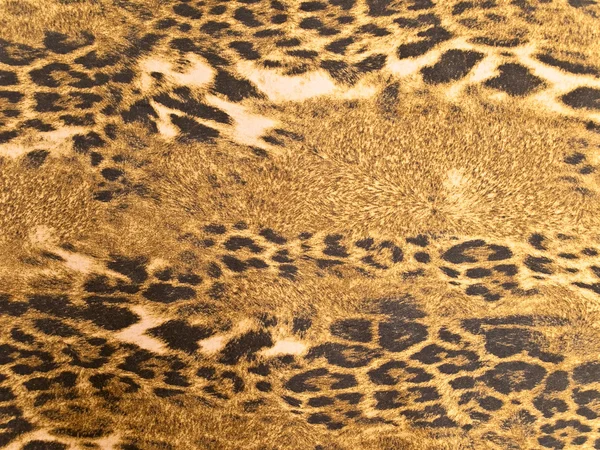 Leoparden-Hintergrund — Stockfoto