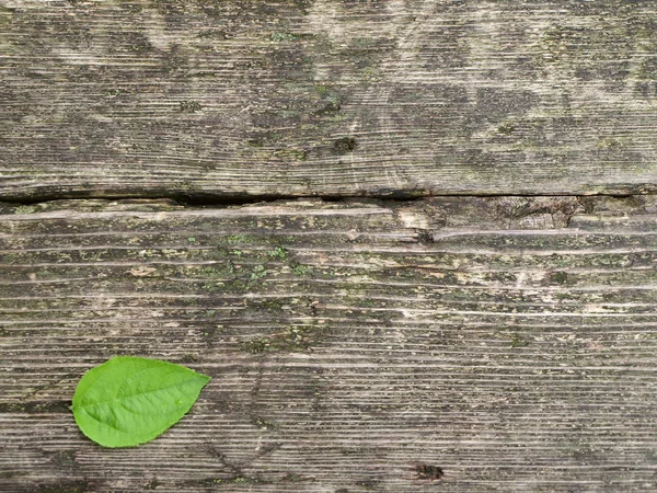Деревянная спинка — стоковое фото