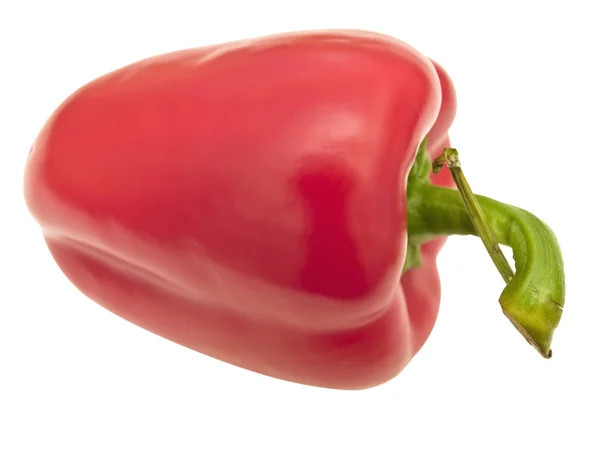 Izolované červená paprika — Stock fotografie