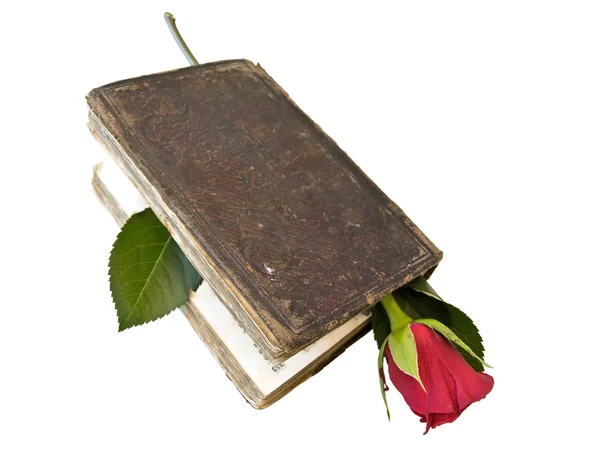 Książki z czerwona róża — Zdjęcie stockowe