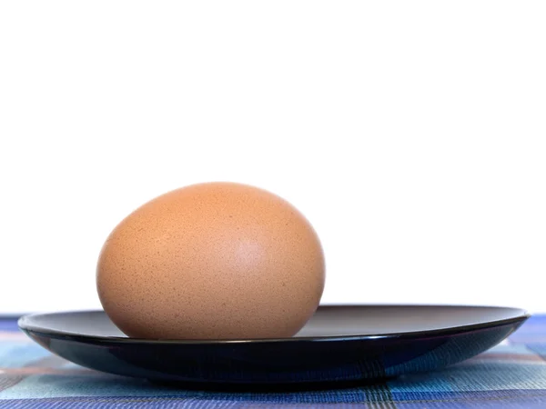 ไข่ — ภาพถ่ายสต็อก