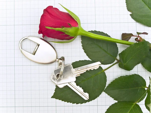 Τριαντάφυλλο και το κλειδί — Φωτογραφία Αρχείου