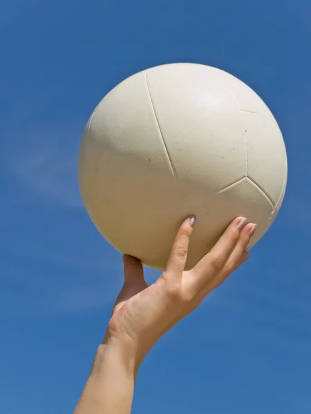 stock image Volleyball
