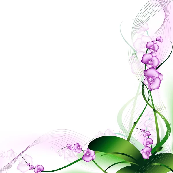 Orchidej — Stockový vektor