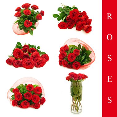 Roses set clipart