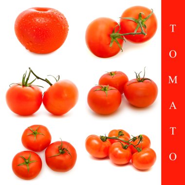 Tomato set clipart