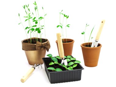 Gardening clipart