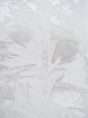 Frost winter window clipart