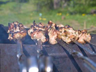 Şiş kebap.